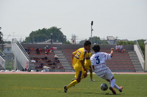 DSC_2019