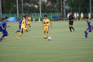 DSC00331
