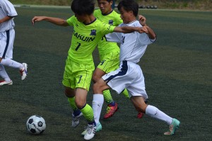 CSC_0612 