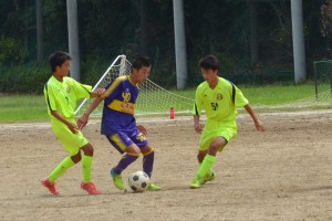 CSC_1516