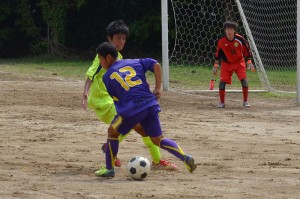CSC_1519