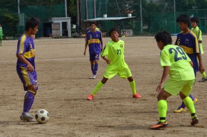 CSC_1522