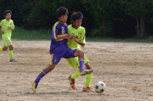 CSC_1533