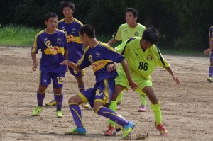 CSC_1534