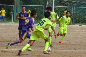 CSC_1537