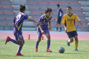 CSC_0145