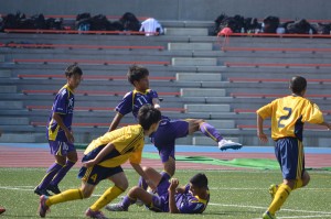 CSC_0146
