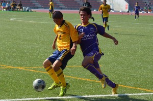 CSC_0178