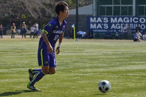 CSC_0339