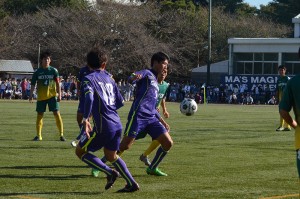 CSC_0384