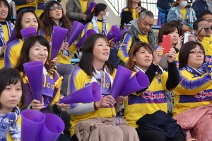 CSC_0810