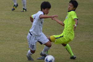 CSC_0822