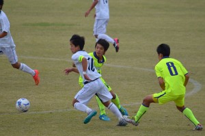 CSC_0826