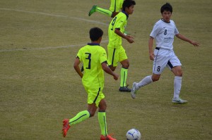 CSC_0838