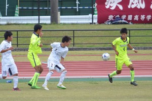 CSC_0847