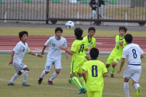 CSC_0848