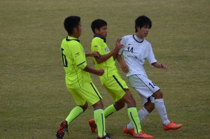 CSC_0854