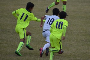 CSC_0868