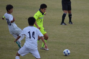 CSC_0897