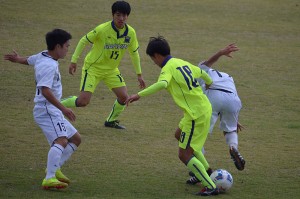 CSC_0918