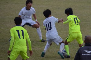 CSC_0925
