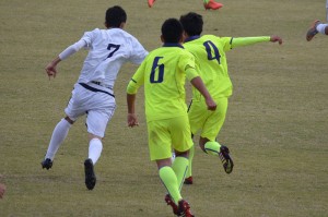 CSC_0931