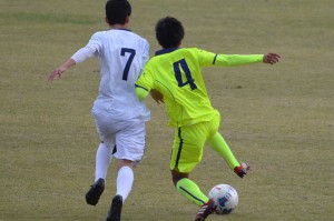 CSC_0932