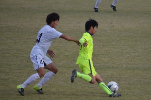 CSC_0942
