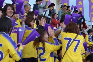 CSC_0944