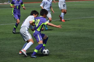 DSC_0031(1) 