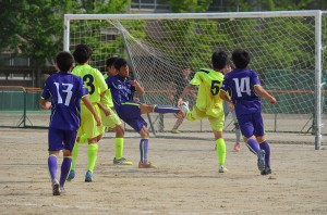 DSC_0195(1)