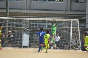 DSC_0119(2)