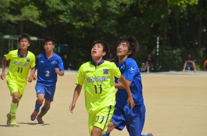 DSC_0178(2)
