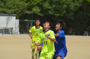 DSC_0179(2)
