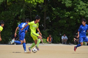 DSC_0213(2)