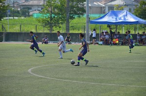 DSC_0246(1)