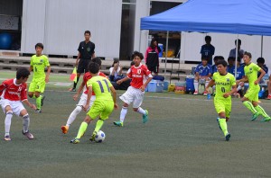DSC_0011(10)