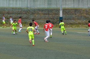 DSC_0161(6)