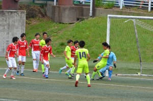 DSC_0175(6)