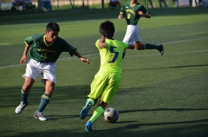 DSC_0151(6)