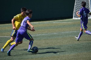 DSC_0031(10) 