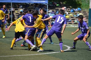 DSC_0087(11)