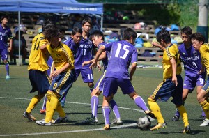 DSC_0088(11)