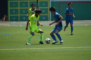 DSC_0039(2)